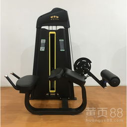 掌握要领，安全高效 商用健身器材坐姿腿屈伸训练器详解